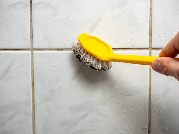 Professional Mold Removal in Lake Delton, WI