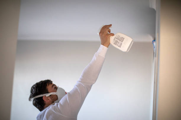 Best Local Mold Removal Service  in Lake Delton, WI