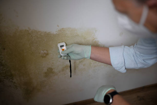 Best Mold Testing  in Lake Delton, WI