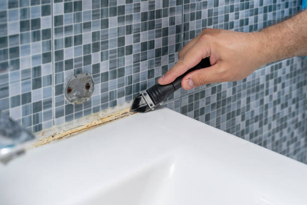 Best Fast Mold Removal  in Lake Delton, WI