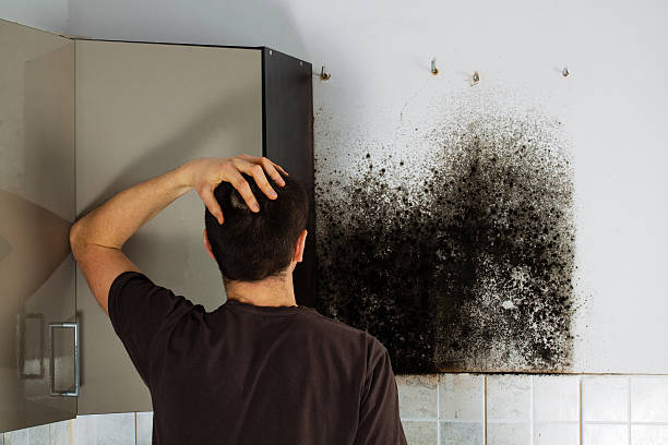 Best Mold Cleaning Services  in Lake Delton, WI